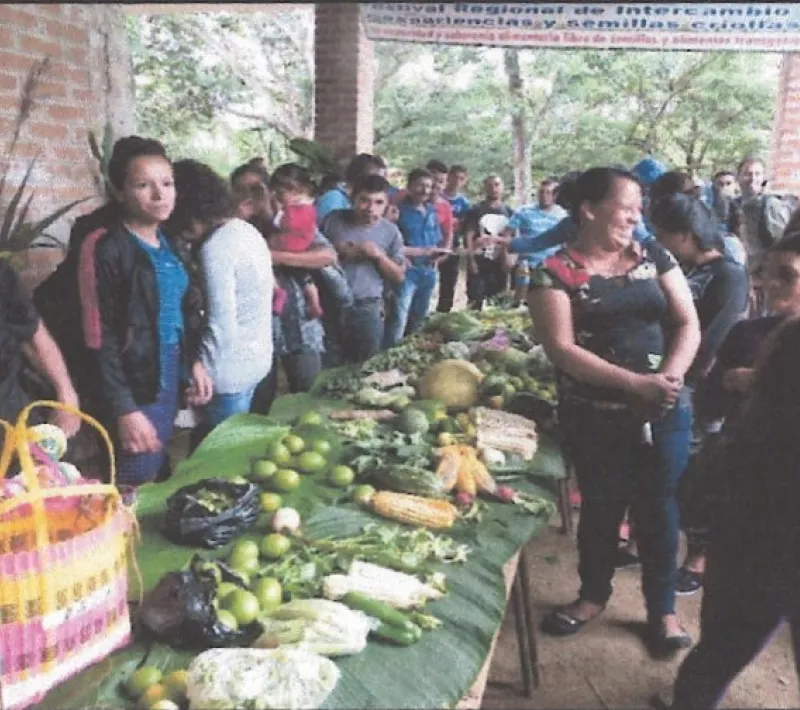 Mejora de alimentación y organización campesina. Manos Unidas Valencia