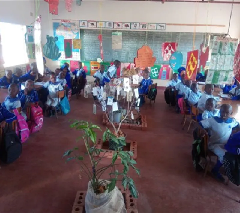 Nuevas aulas para niños de primaria de familias muy humildes en Zimbabue. Manos Unidas Valencia