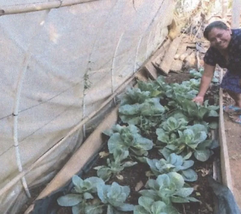 Mejora de alimentación y organización campesina. Manos Unidas Valencia