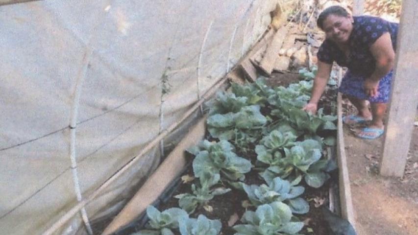 Mejora de alimentación y organización campesina. Manos Unidas Valencia