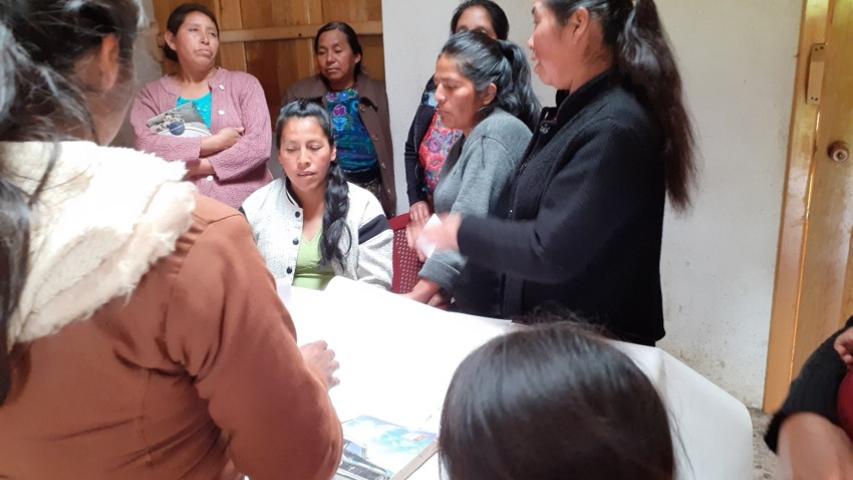 imagen8