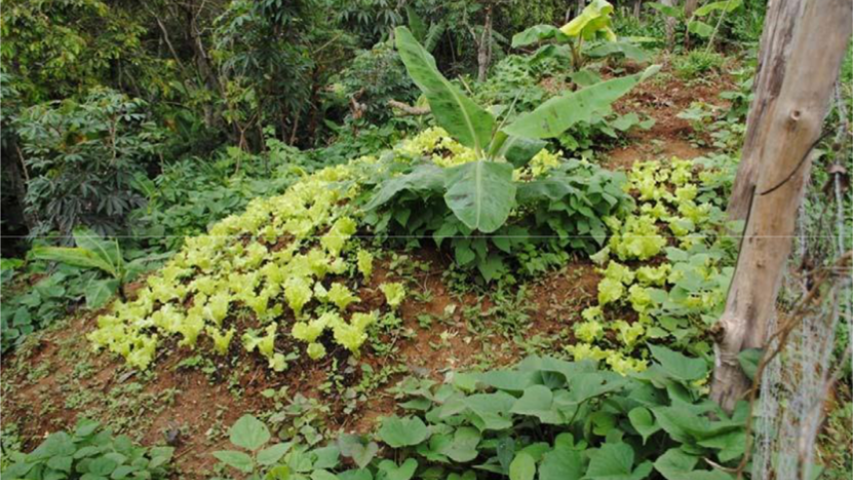 Agua potable y para riego para mejorar la producción agrícola a comunidades con altos índices de pobreza en Ecuador. Manos Unidas Valencia