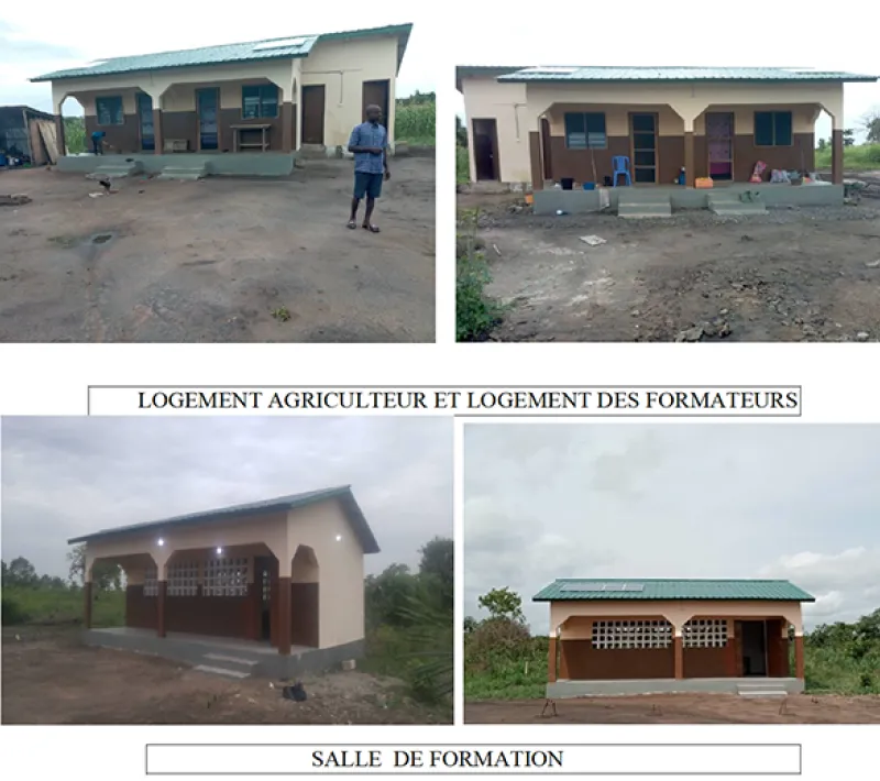 Proyecto Agropecuario África