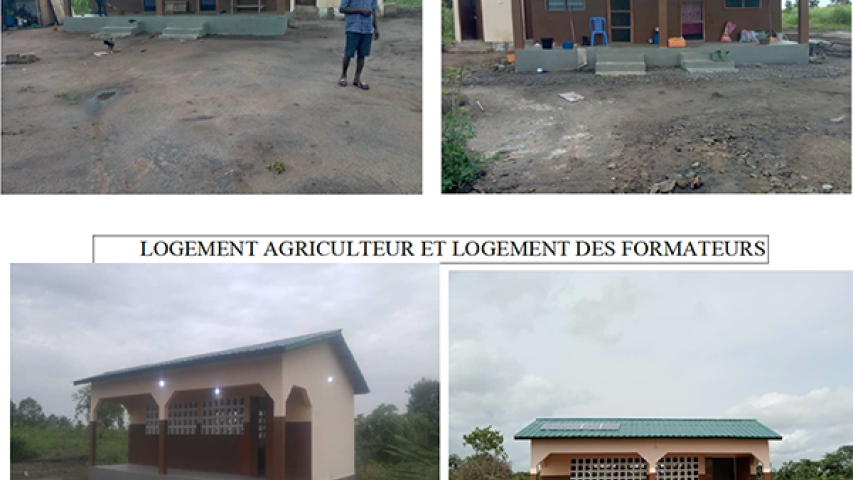 Proyecto Agropecuario África