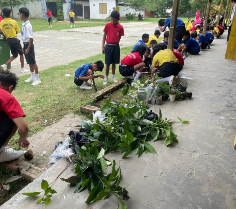 Proyecto desarrollo medioambiental India