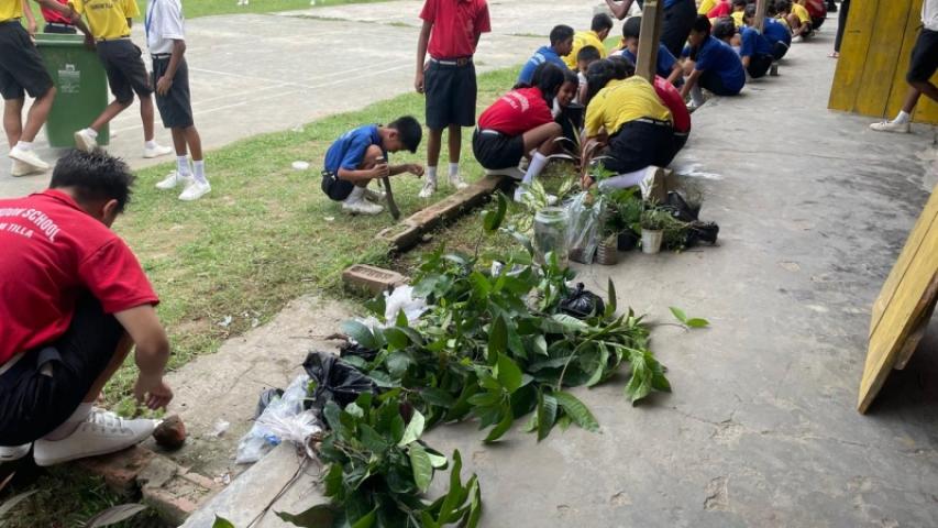 Proyecto desarrollo medioambiental India