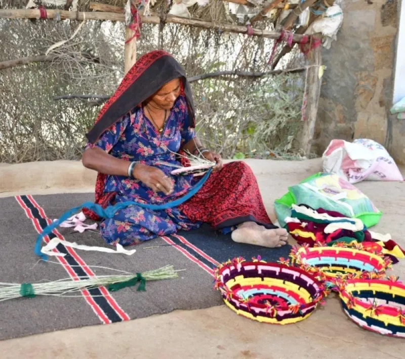 Proyecto desarrollo India