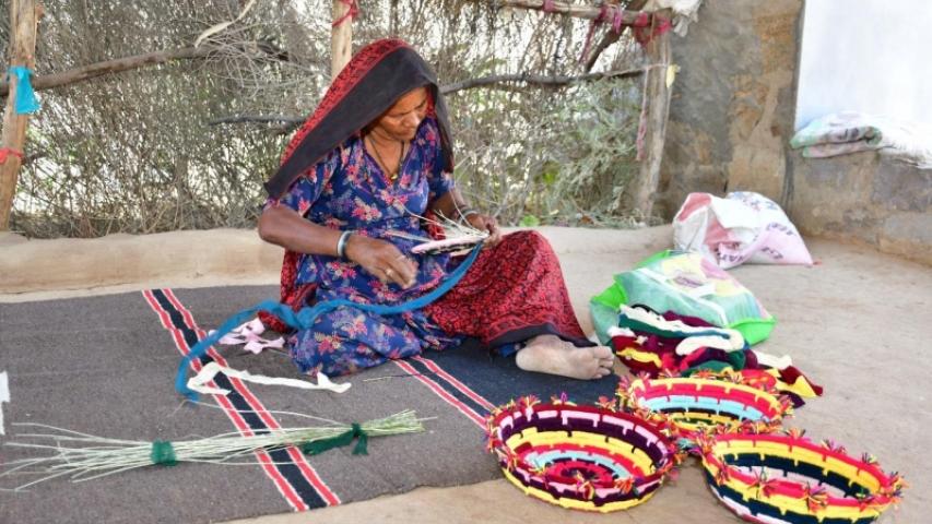 Proyecto desarrollo India
