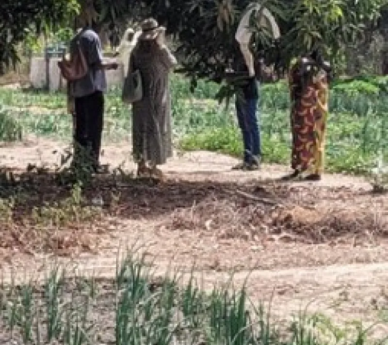 Proyecto agrícola y agua Senegal