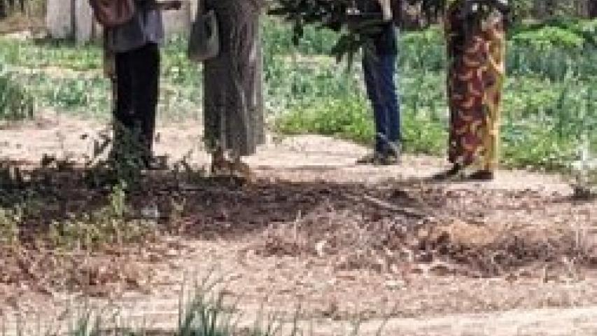 Proyecto agrícola y agua Senegal