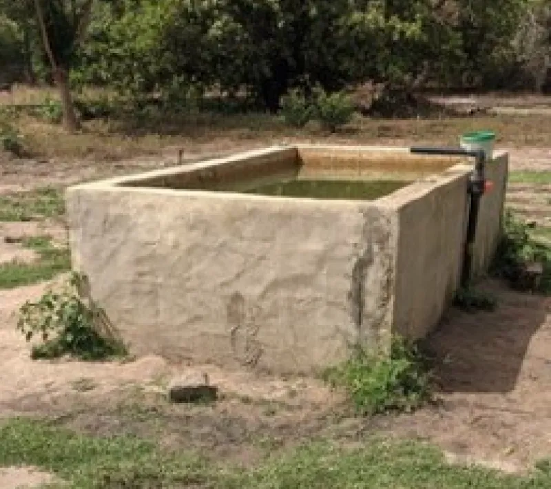 Proyecto desarrollo Senegal