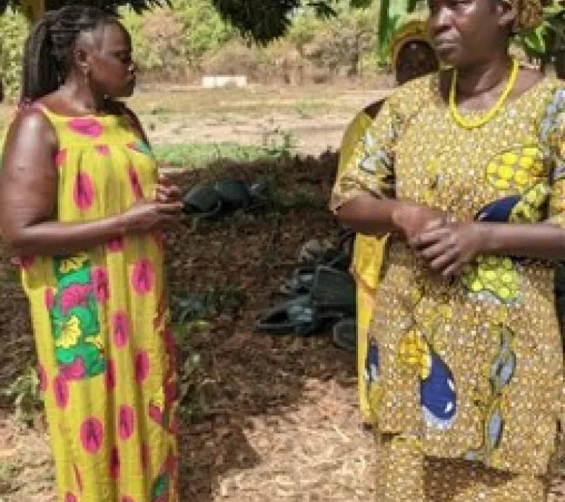 Proyecto agrícola y agua Senegal