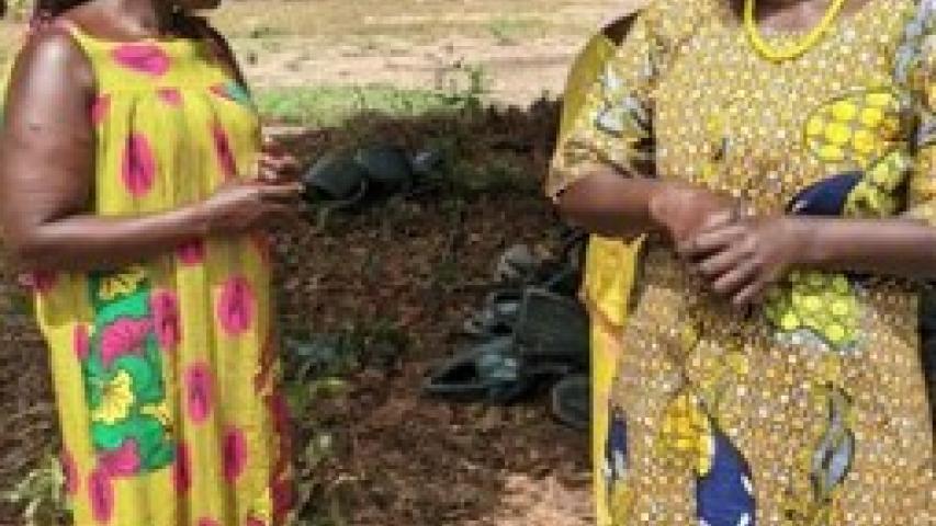 Proyecto agrícola y agua Senegal