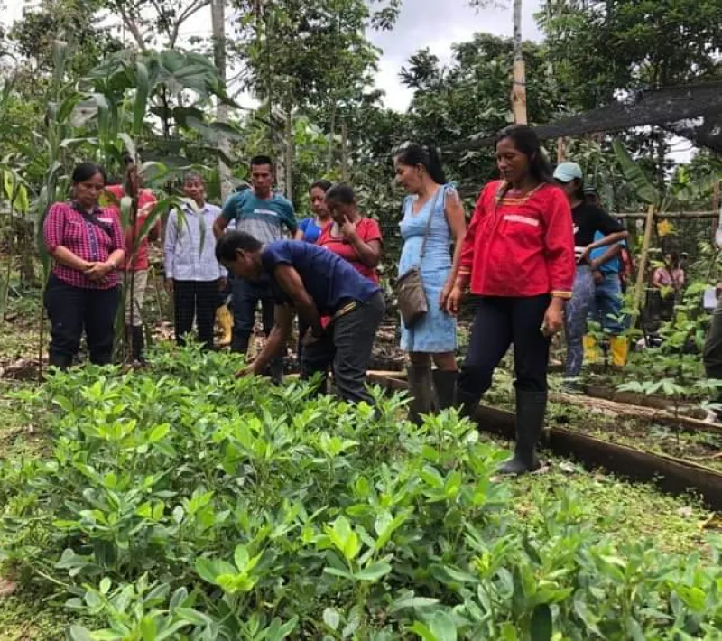 Proyecto medioambiental Napo, Ecuador
