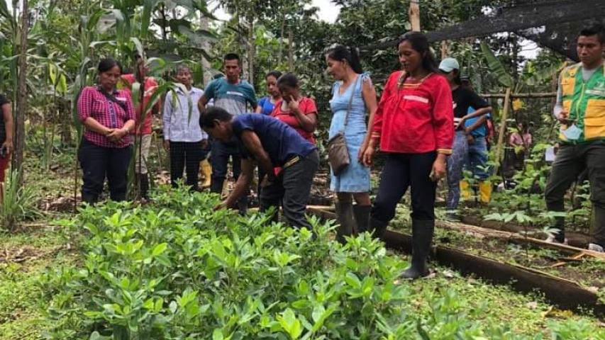 Proyecto medioambiental Napo, Ecuador