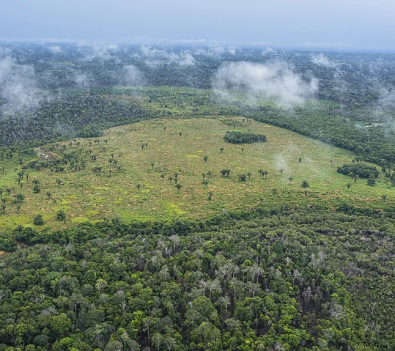 Manos Unidas ONG - Quico Taronjí en la Amazonía -  Verde hasta dónde la vista alcanza