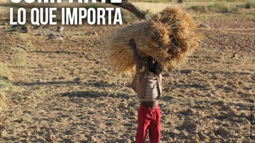 Día contra la desertificación y la Sequía. Foto:Marta Carreño en Etiopía