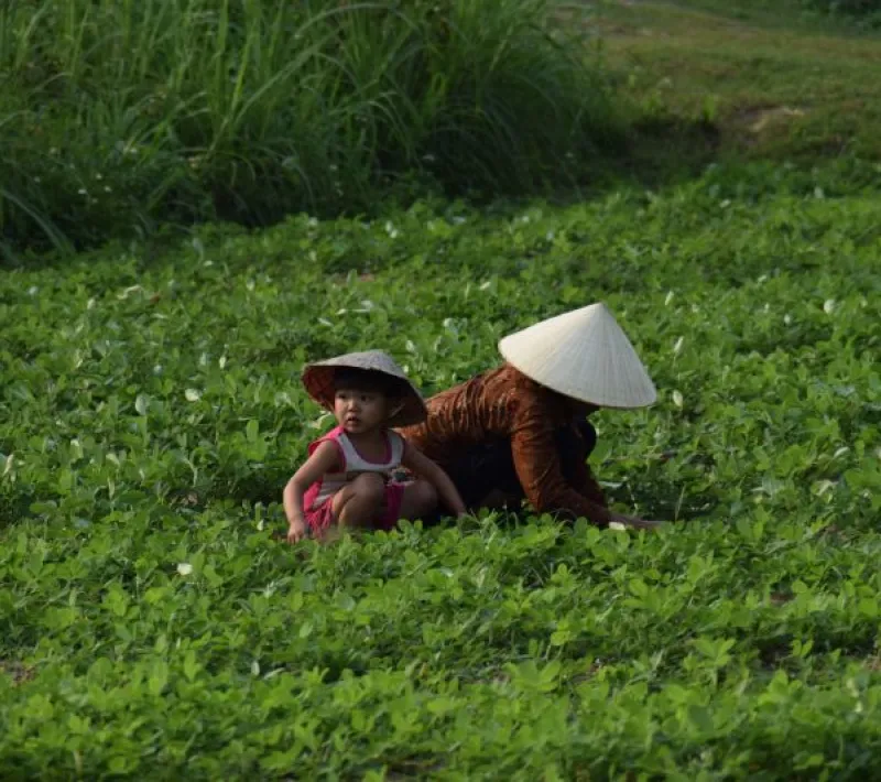 Vietnam - Foto Patricia Garrido Manos Unidas