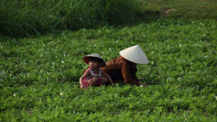 Vietnam - Foto Patricia Garrido Manos Unidas