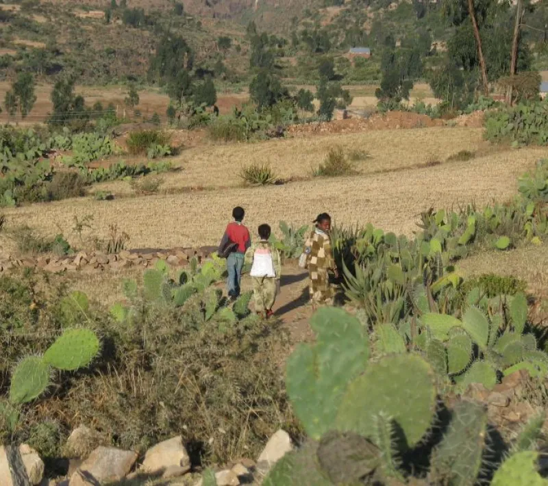 Día contra la desertificación y la Sequía. Foto:Marta Carreño en Etiopía