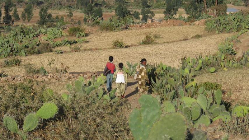 Día contra la desertificación y la Sequía. Foto:Marta Carreño en Etiopía