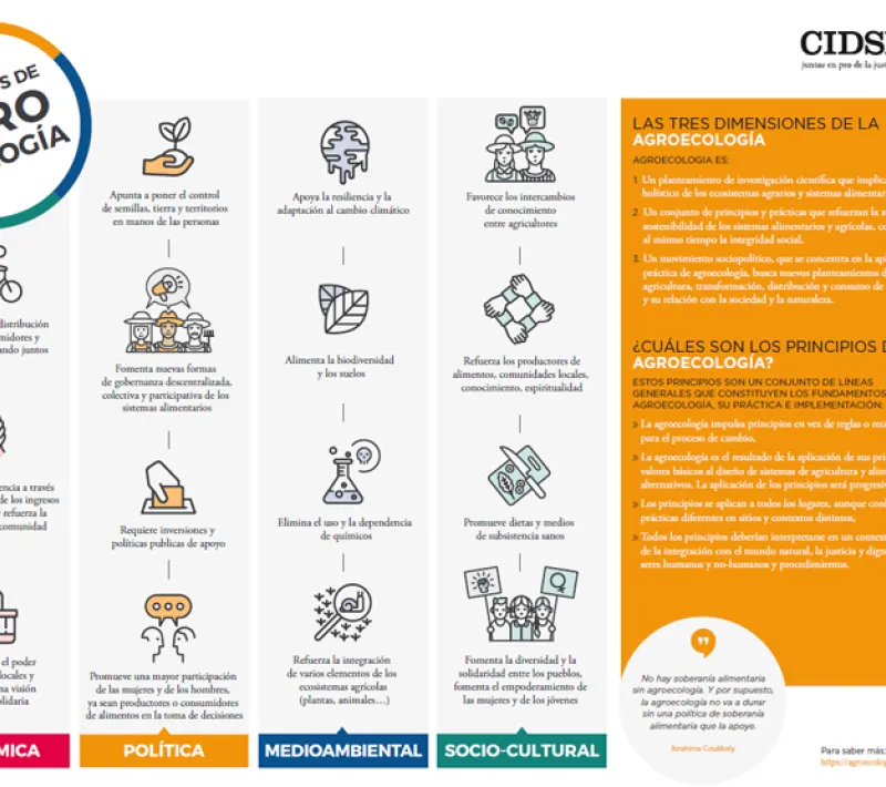 Infografía básica sobre los principios de la agroecología.