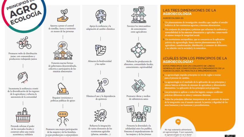 Infografía básica sobre los principios de la agroecología.