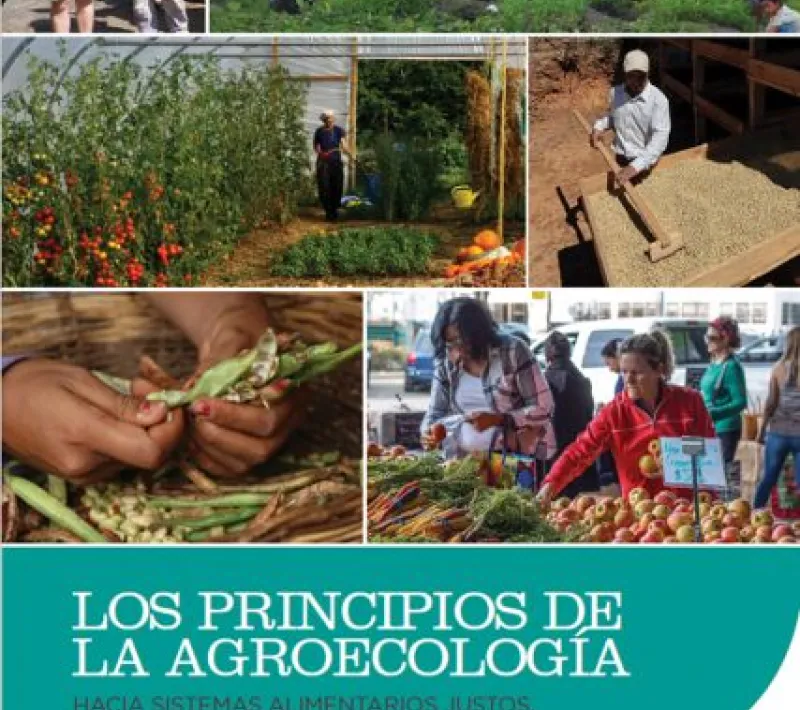 Portada del informe "Los principios de la agroecología. Hacia sistemas alimentarios justos, resilientes y sostenibles"