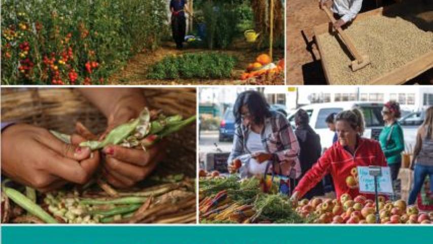 Portada del informe "Los principios de la agroecología. Hacia sistemas alimentarios justos, resilientes y sostenibles"