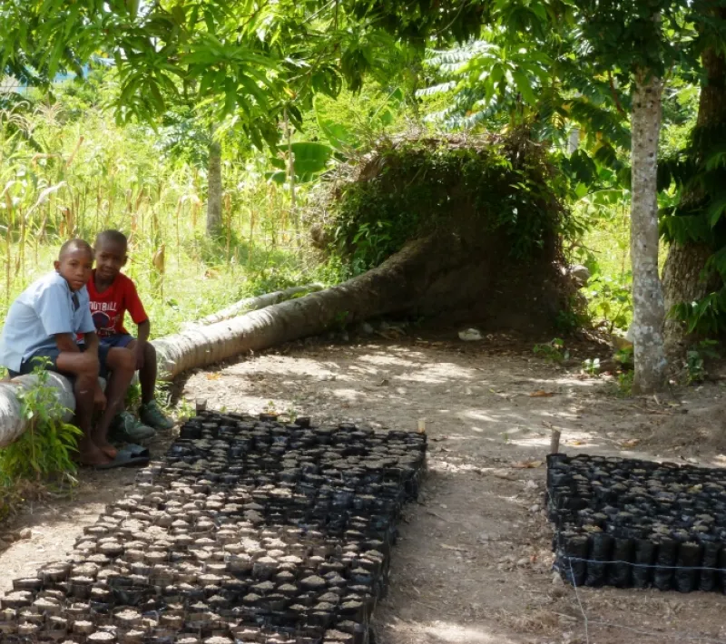 Proyecto Caritas Les Cayes, Haiti