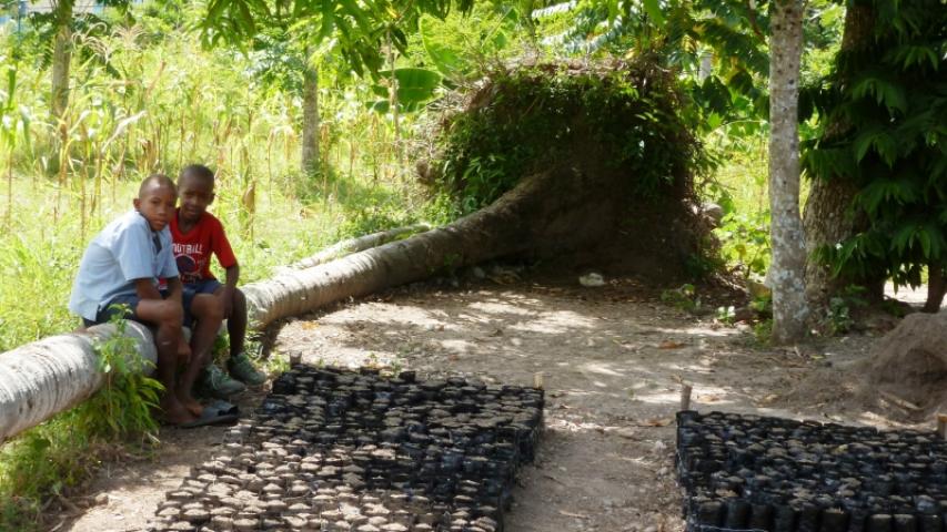 Proyecto Caritas Les Cayes, Haiti