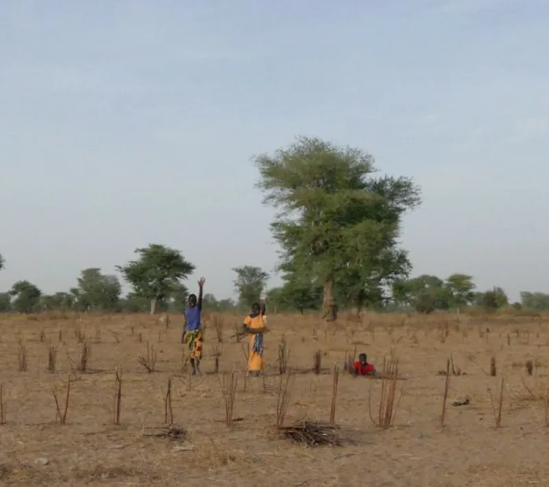Huertos en Senegal: Marisa Muñoz Rojas