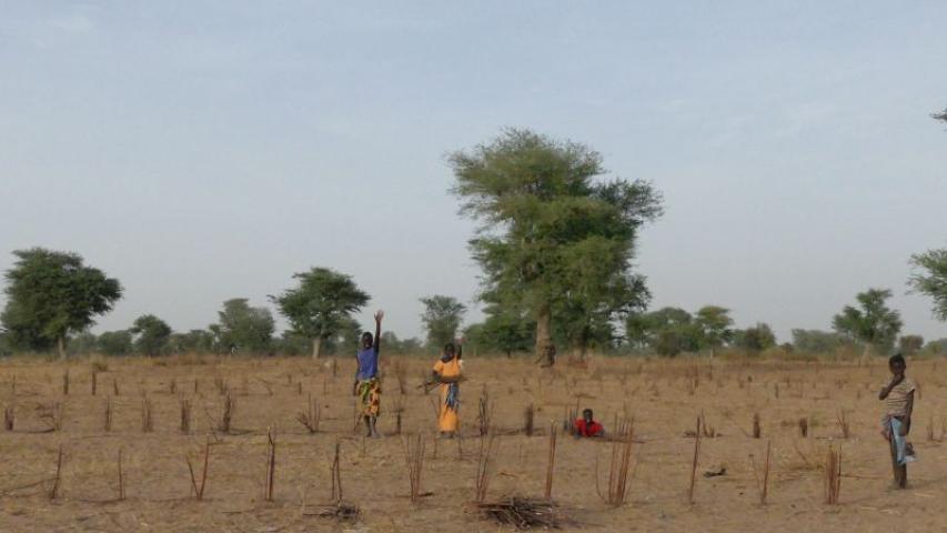 Huertos en Senegal: Marisa Muñoz Rojas