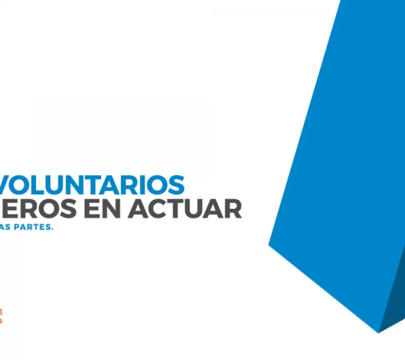 Día Internacional de los Voluntarios