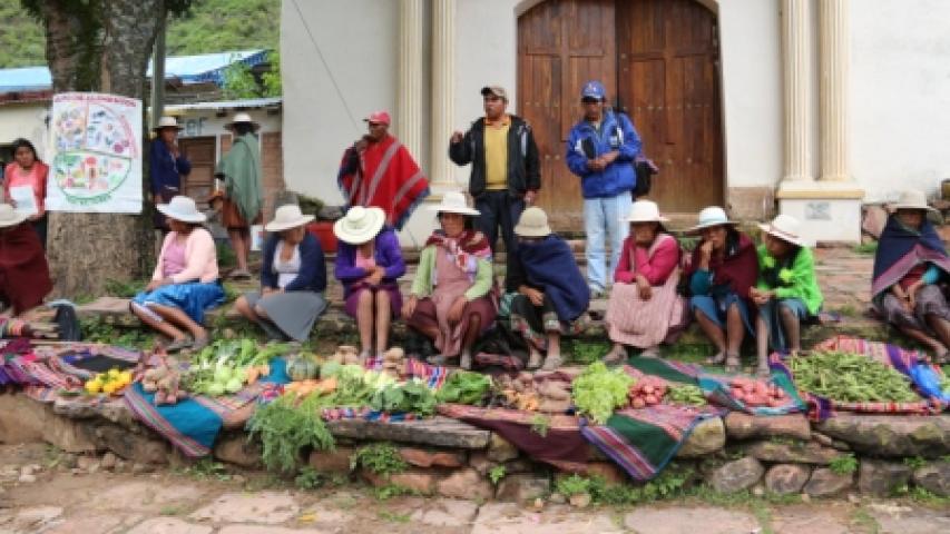 Proyecto en Bolivia 2013