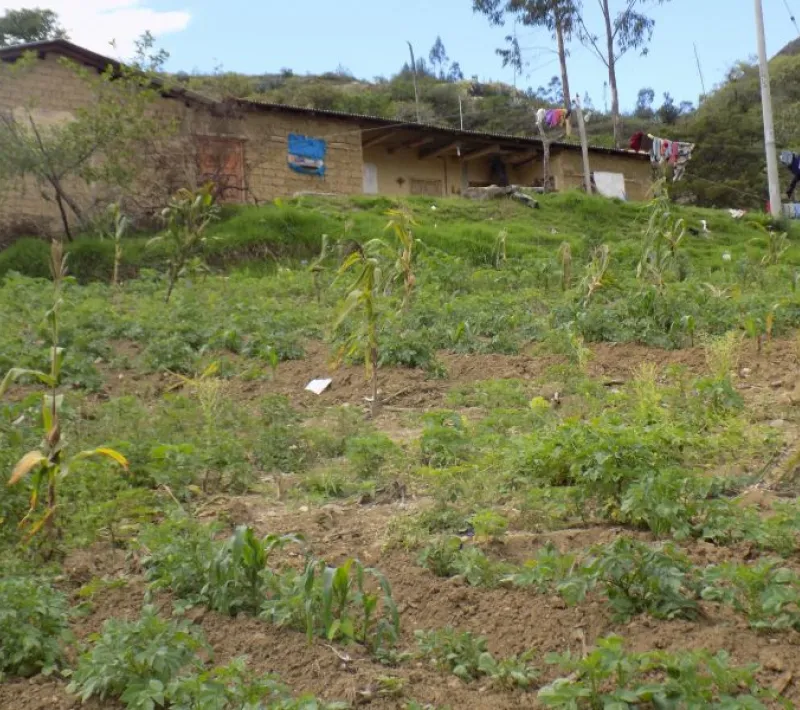 Manos Unidas - Cutervo, Perú