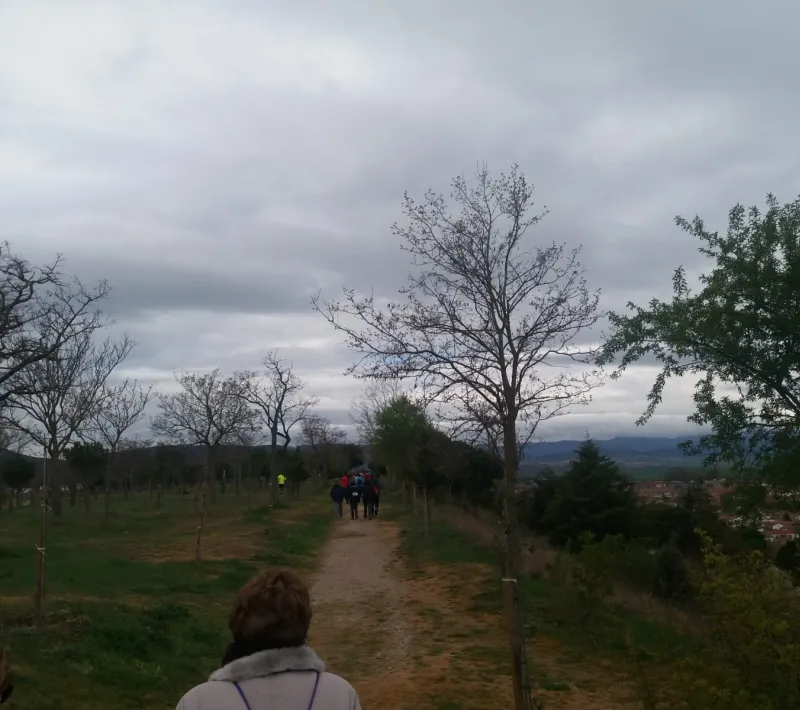 img 20190407 wa0031
