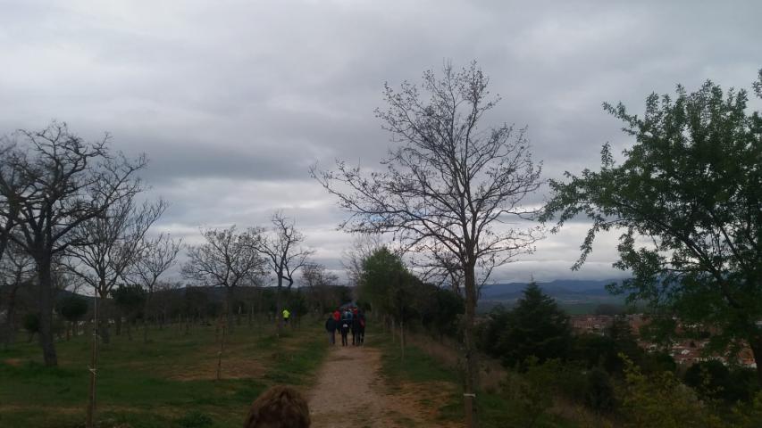 img 20190407 wa0031