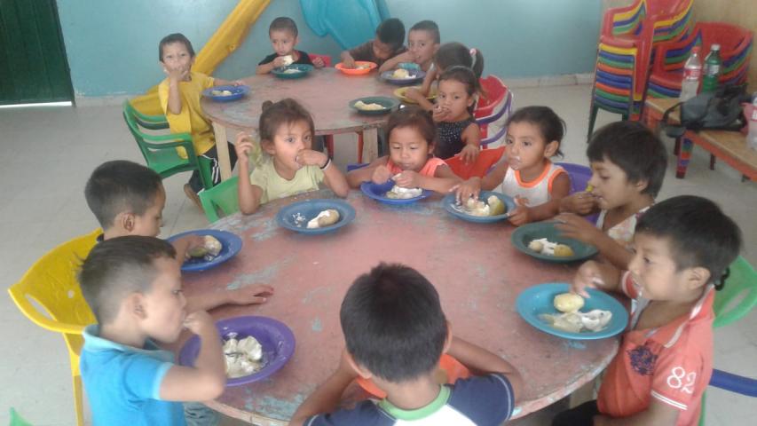 Acceso a la educación infantil inclusiva de niñas y niños en extrema pobreza de la periferia urbana de Tegucigalpa y de zonas rurales indígenas (Honduras).