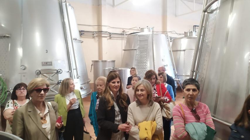 img 20230605 wa0040