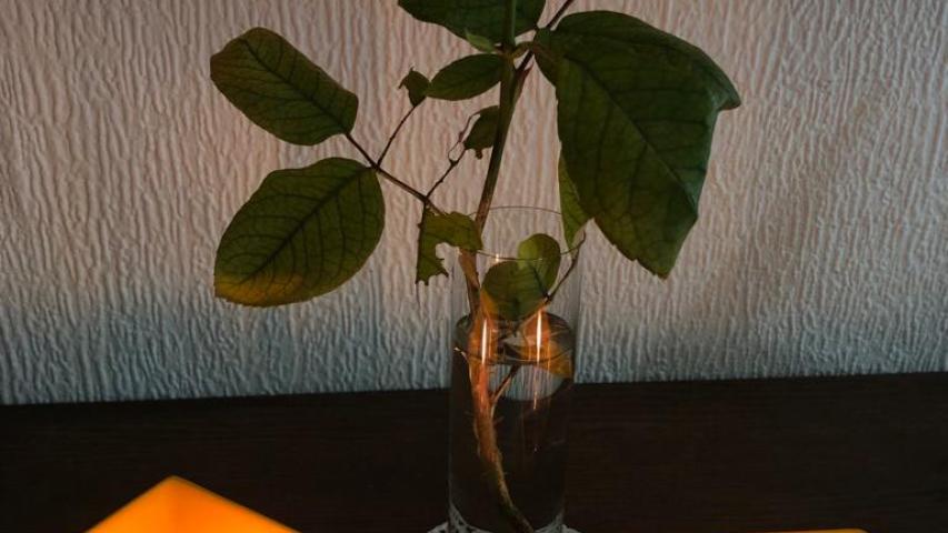 img 20231111 wa0011