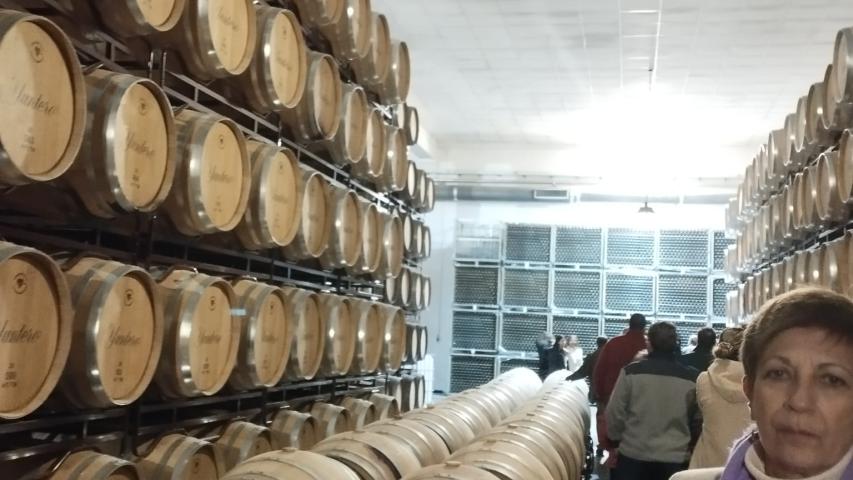 img 20231125 wa0015 1