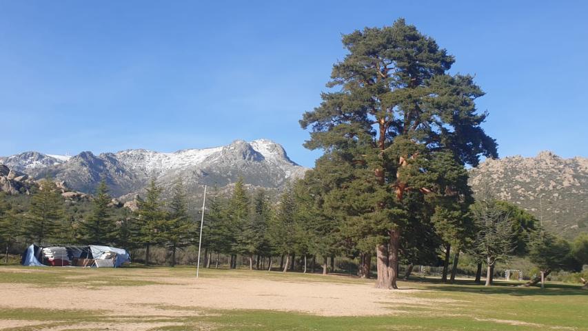 img 20240415 wa0005