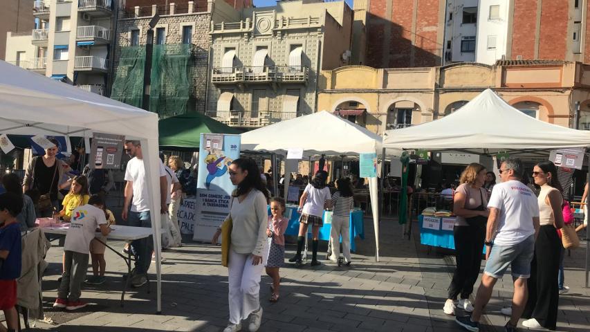 img 20250524 wa0021
