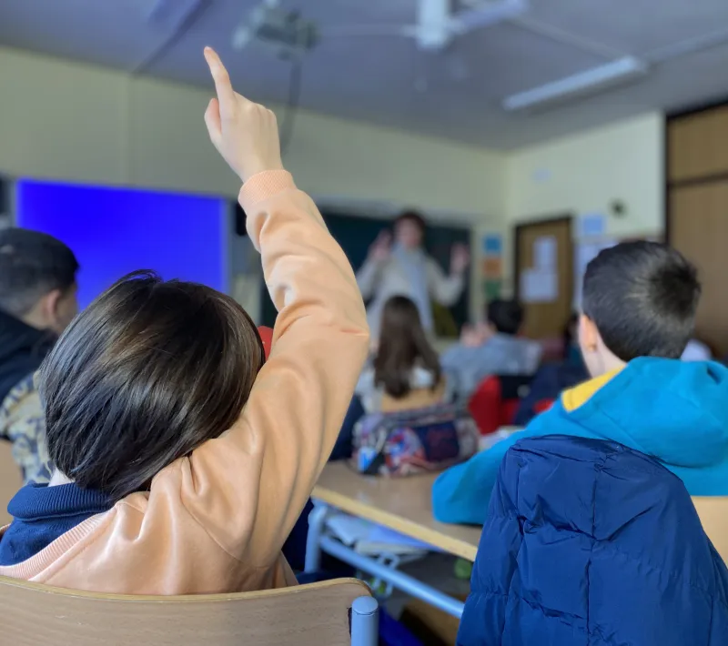 Alumnos de primaria CEIP El Doncel.