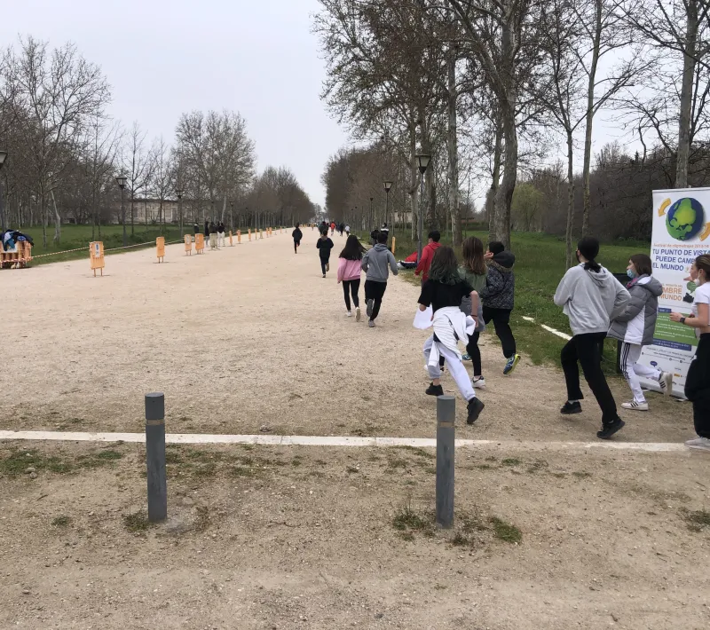 img 004331