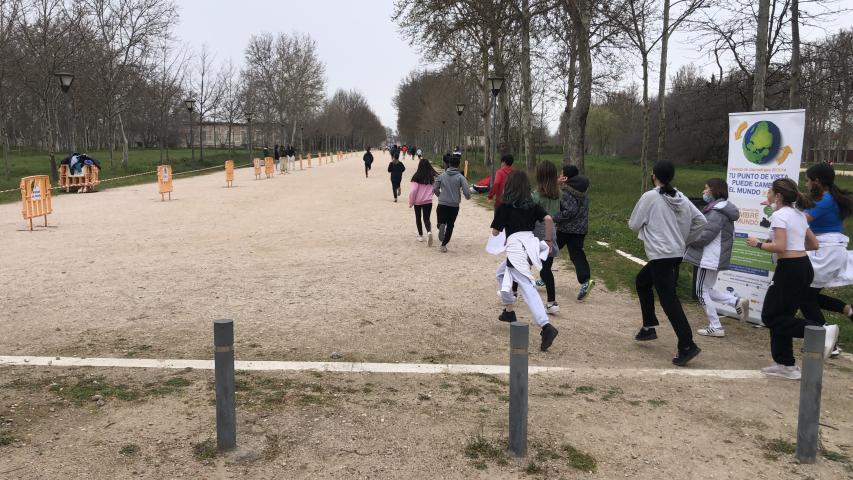 img 004331