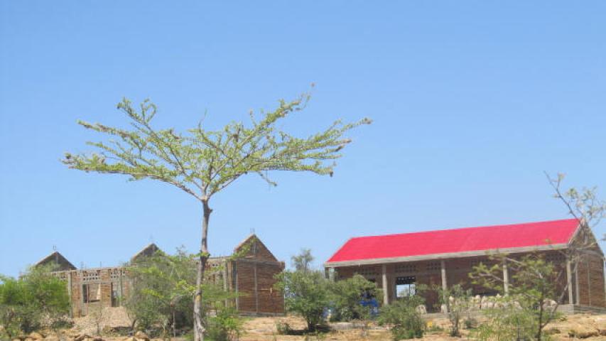 img 0116