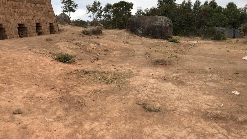 img 0301