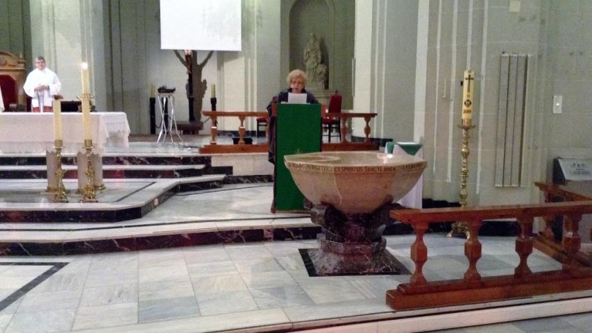 img 0558